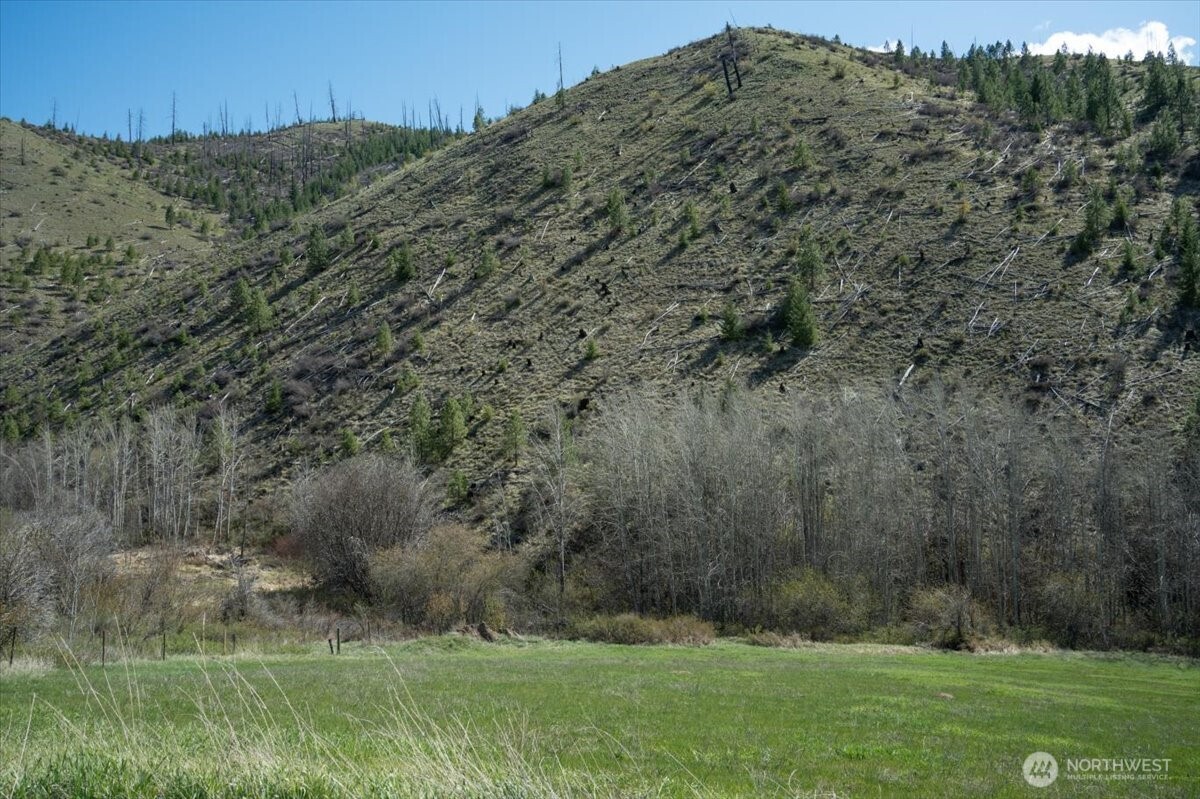 0 Bisping Canyon Road Entiat, WA 98822 - Photo 17 of 23 a view of outdoor space and yard