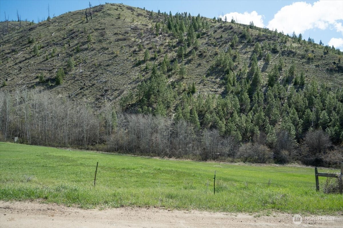 0 Bisping Canyon Road Entiat, WA 98822 - Photo 19 of 23 a view of a grassy field