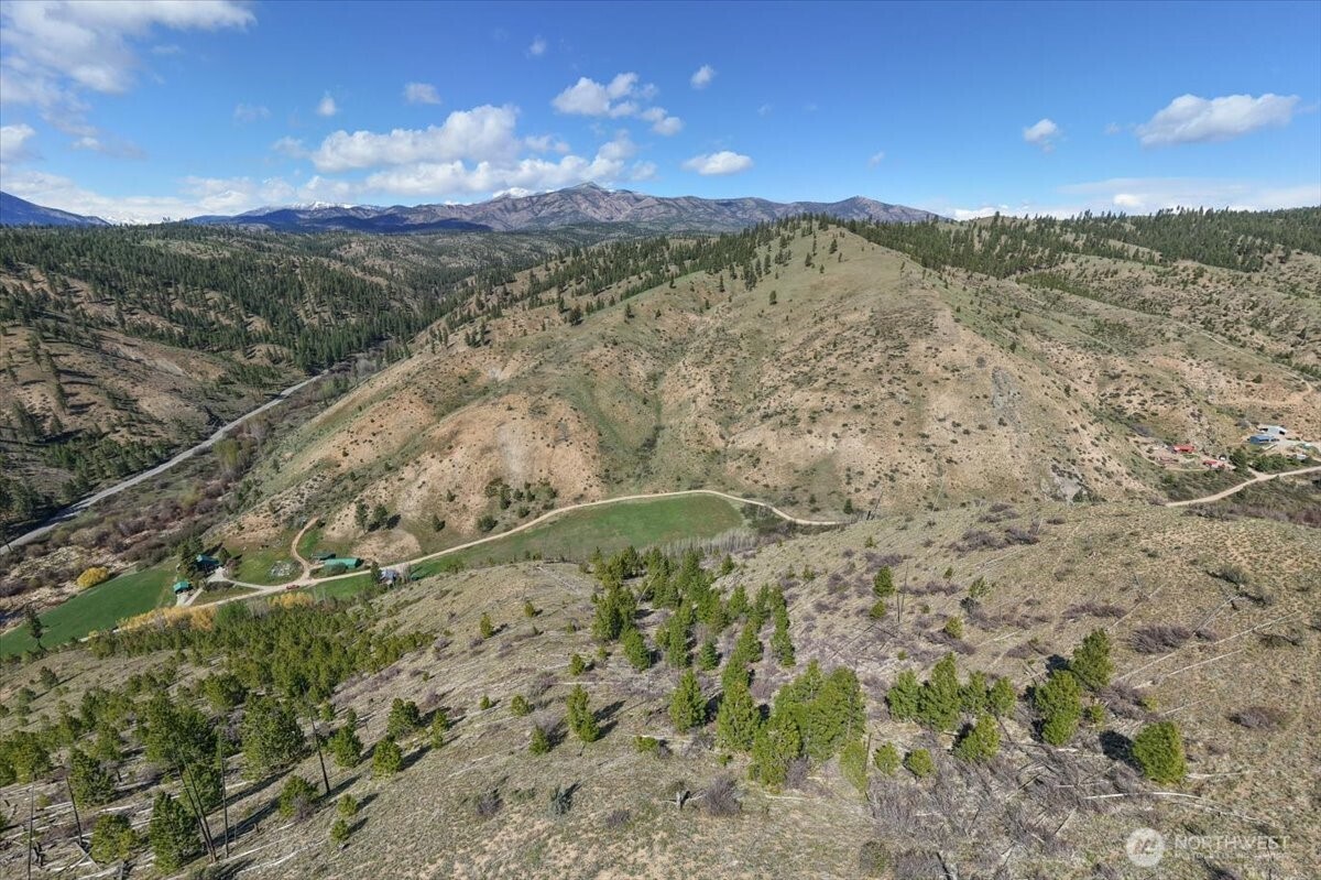 0 Bisping Canyon Road Entiat, WA 98822 - Photo 20 of 23 a view of a forest with a mountain