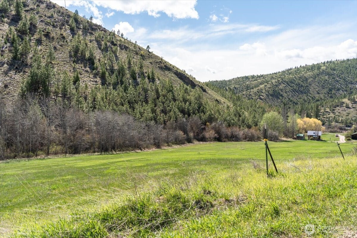 0 Bisping Canyon Road Entiat, WA 98822 - Photo 2 of 23 a view of a park with large trees
