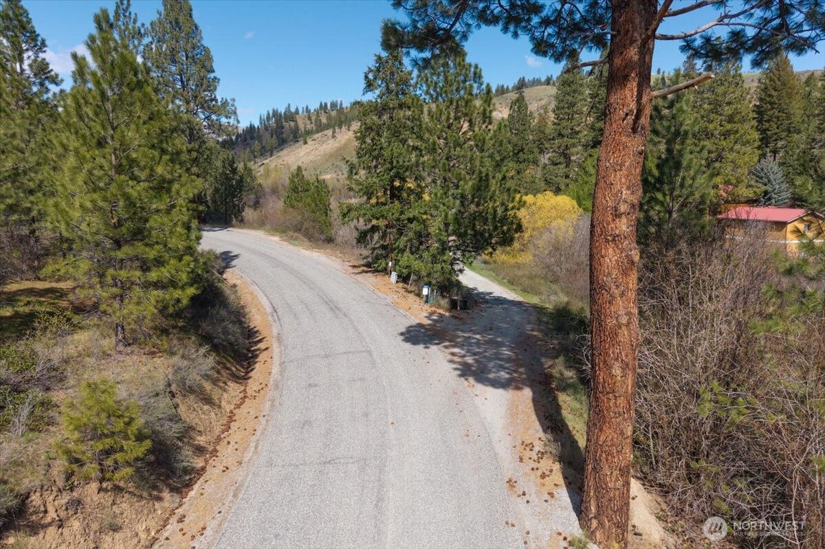0 Bisping Canyon Road Entiat, WA 98822 - Photo 21 of 23 a view of a yard with trees