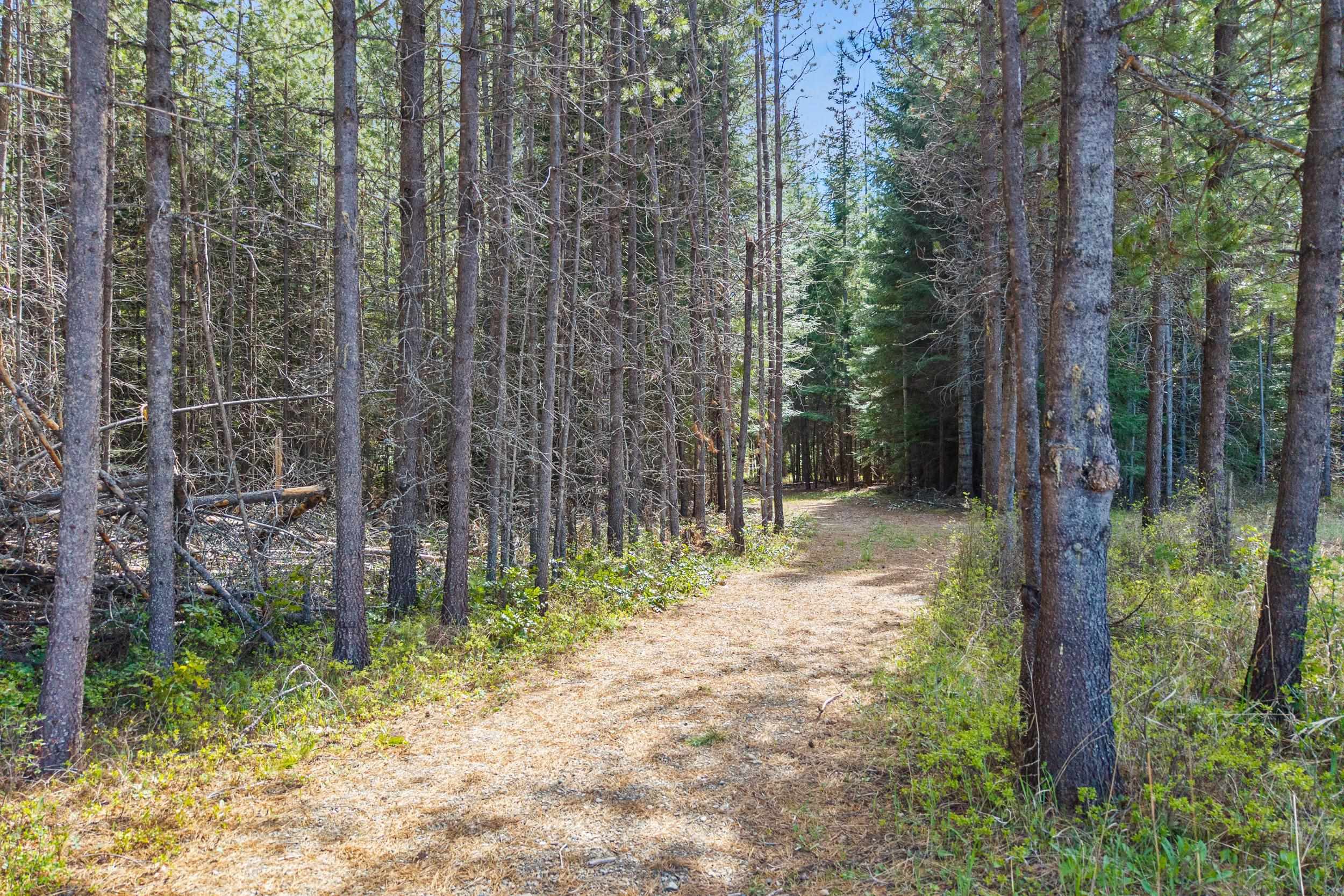 389962 State Rte 20 Cusick, WA 99119 - Photo 43 of 48