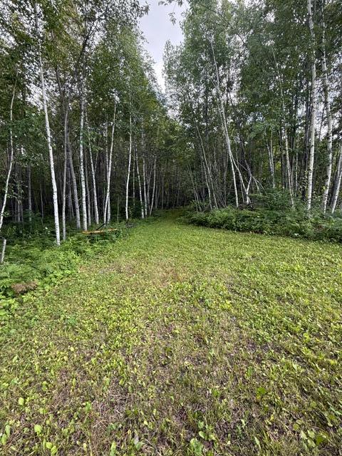 Tbd North Moose Lake Road Northeast Pennington, MN 56663 - Photo 16 of 26
