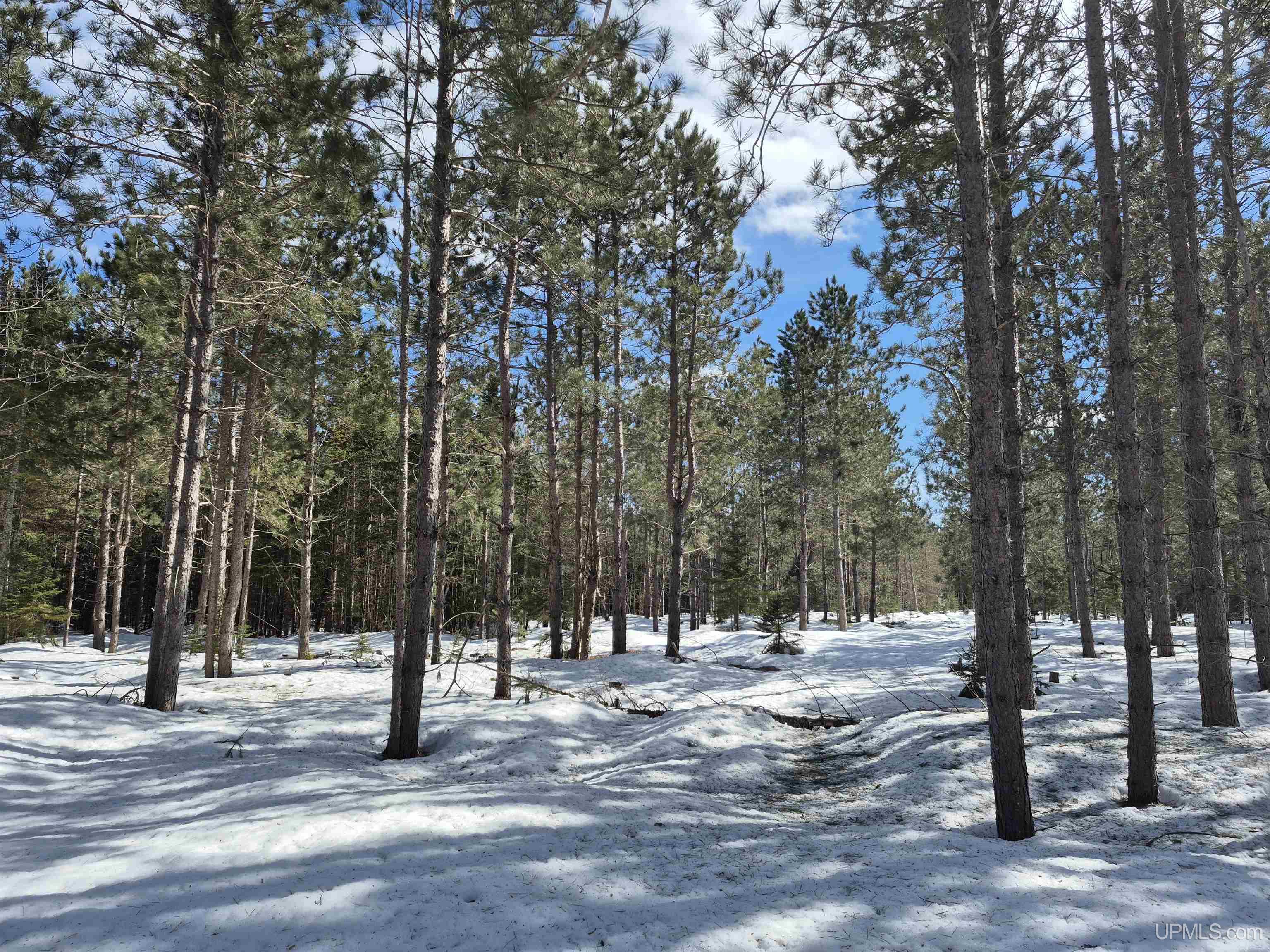 20-acres Off Flodin Road Manistique, MI 49854 - Photo 6 of 29