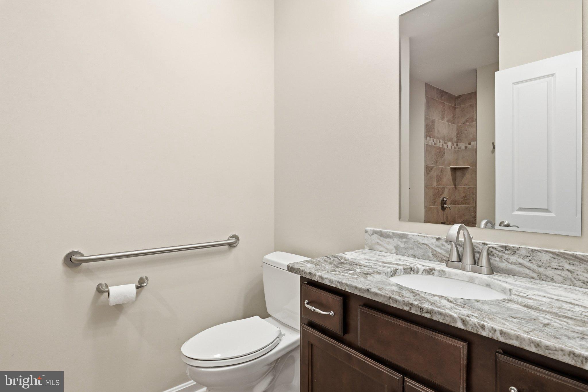 16932 Fitzgeralds Road Lincoln, DE 19960 - Photo 78 of 103 Modern bathroom with elegant finishes.