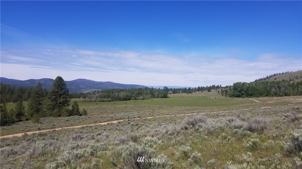 1234 Neil Canyon Road Tonasket, WA 98855 - Photo 1 of 17