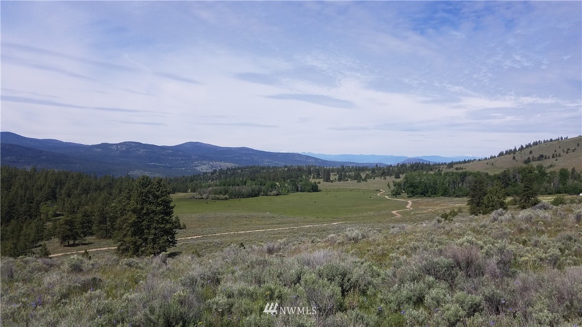 1234 Neil Canyon Road Tonasket, WA 98855 - Photo 2 of 17