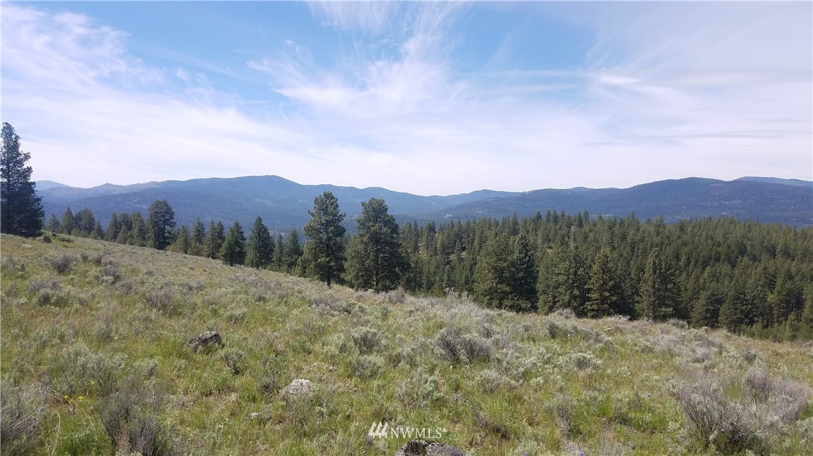 1234 Neil Canyon Road Tonasket, WA 98855 - Photo 11 of 17