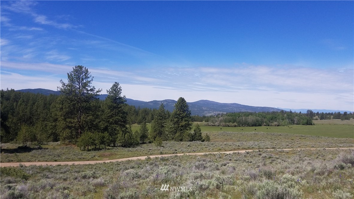 1234 Neil Canyon Road Tonasket, WA 98855 - Photo 12 of 17