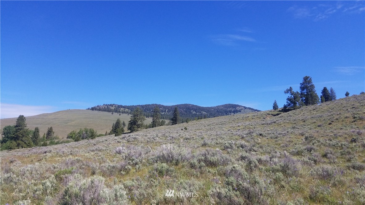 1234 Neil Canyon Road Tonasket, WA 98855 - Photo 13 of 17