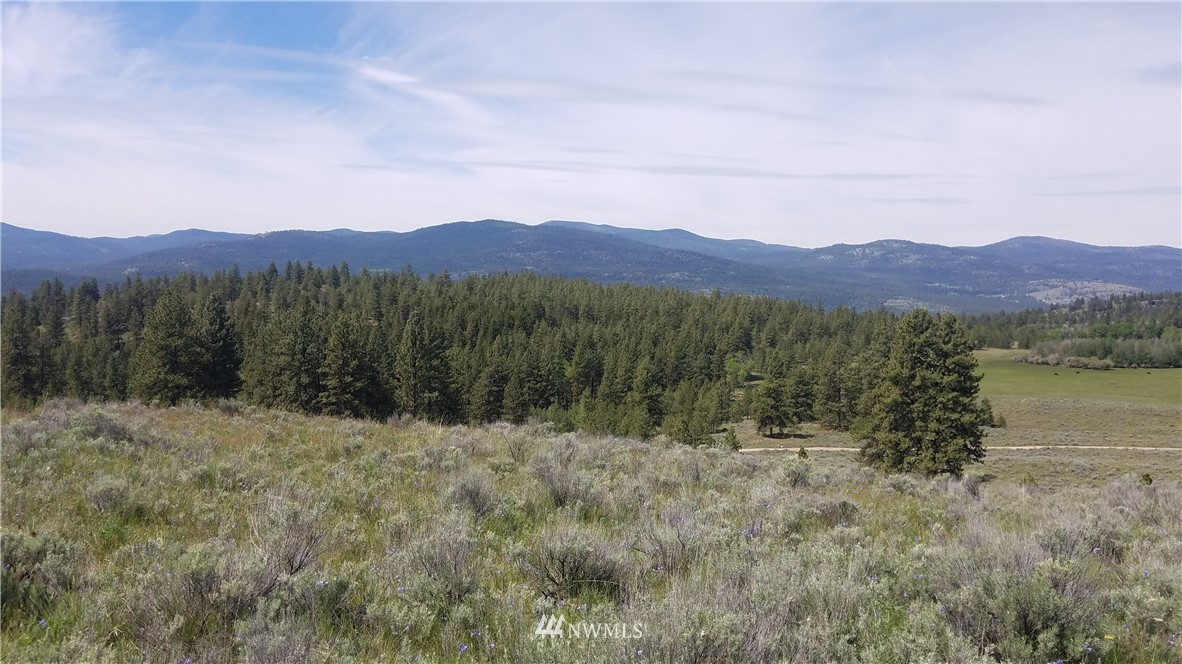 1234 Neil Canyon Road Tonasket, WA 98855 - Photo 14 of 17