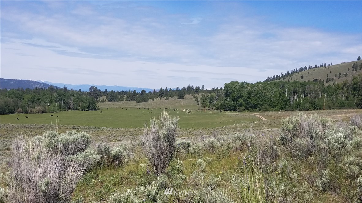1234 Neil Canyon Road Tonasket, WA 98855 - Photo 3 of 17
