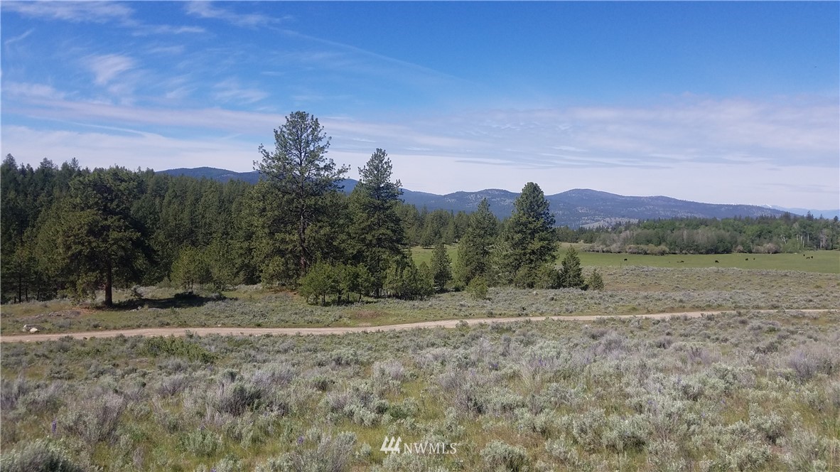 1234 Neil Canyon Road Tonasket, WA 98855 - Photo 4 of 17