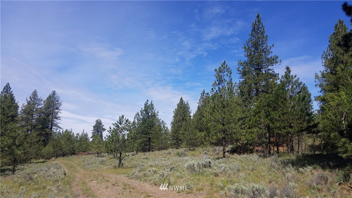 1234 Neil Canyon Road Tonasket, WA 98855 - Photo 5 of 17