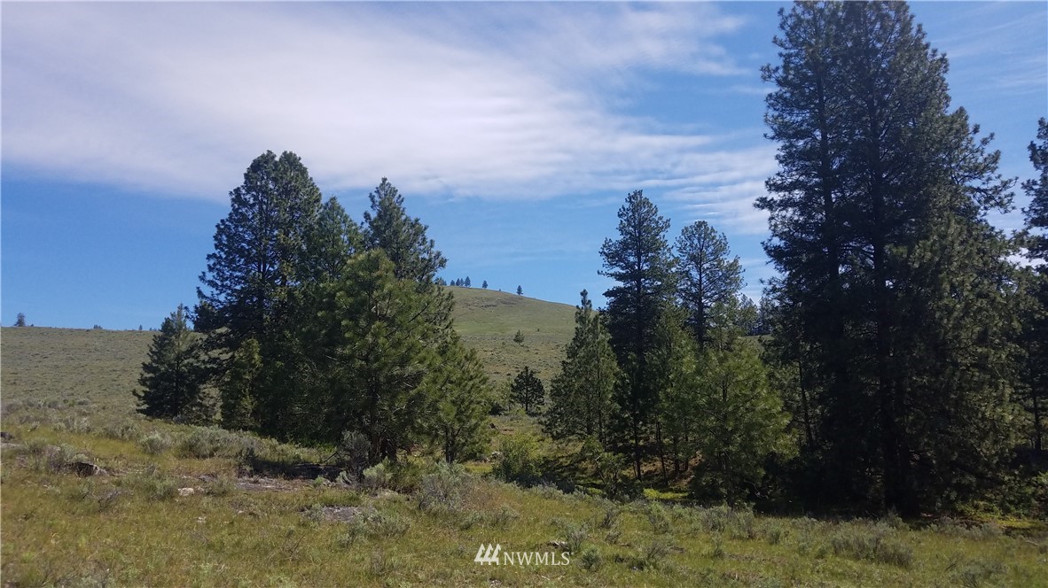 1234 Neil Canyon Road Tonasket, WA 98855 - Photo 6 of 17