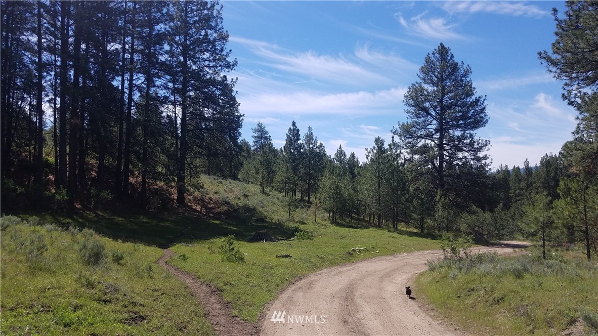1234 Neil Canyon Road Tonasket, WA 98855 - Photo 7 of 17