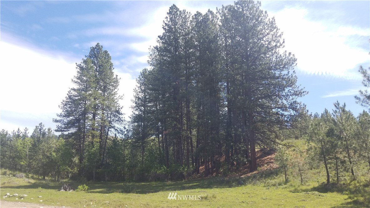 1234 Neil Canyon Road Tonasket, WA 98855 - Photo 9 of 17