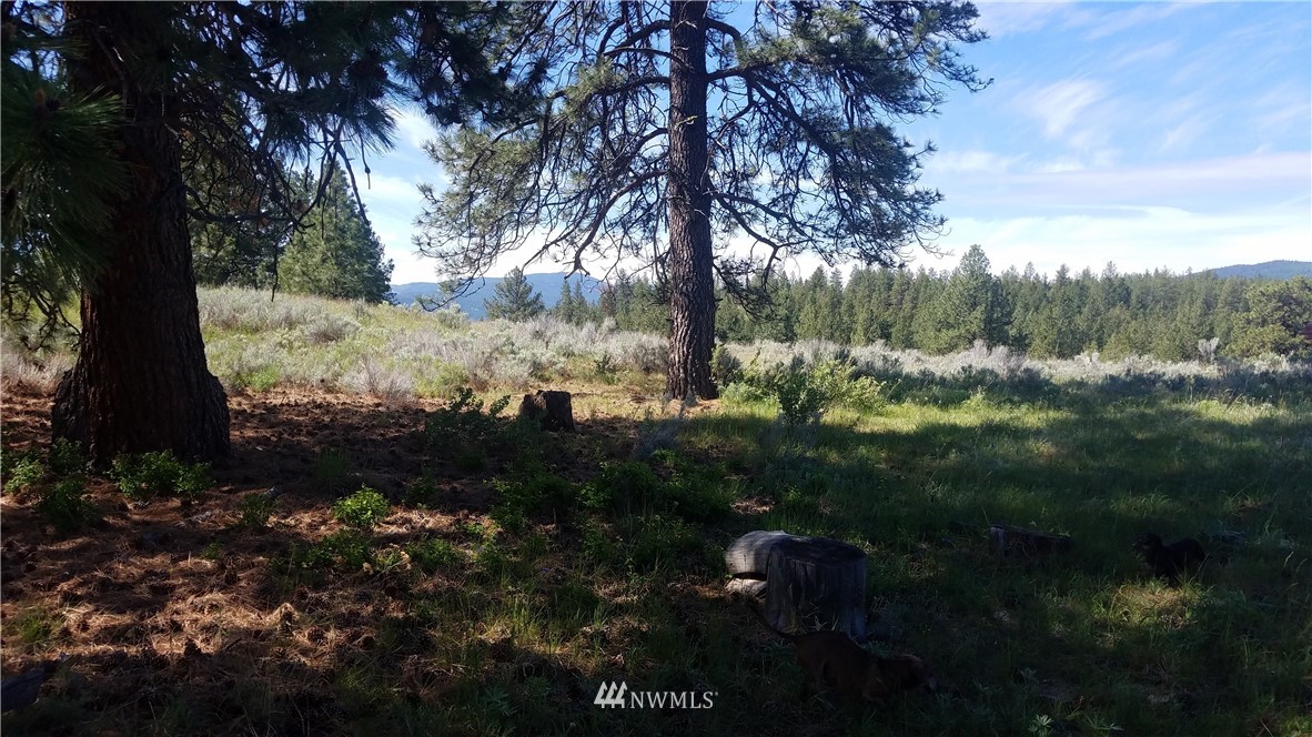 1234 Neil Canyon Road Tonasket, WA 98855 - Photo 10 of 17