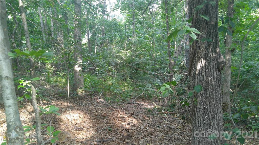 3133 Weidner Road, Unit 18 Newton, NC 28658 - Photo 2 of 5 a view of a forest with trees