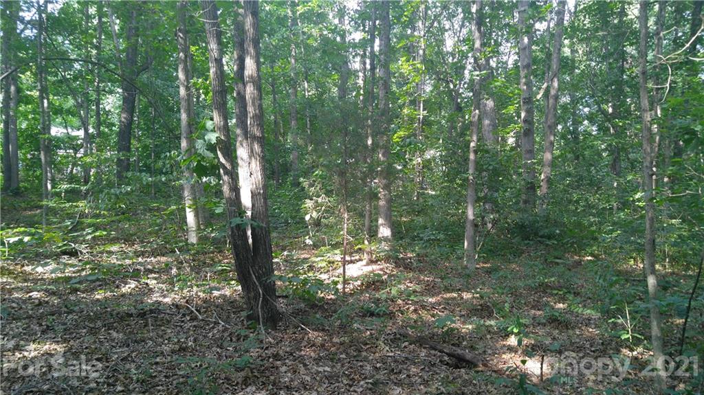 3133 Weidner Road, Unit 18 Newton, NC 28658 - Photo 3 of 5 a view of forest