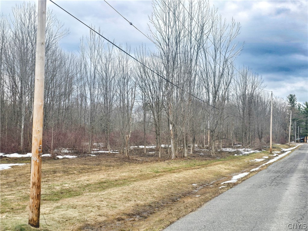 0 Depot Road Cleveland, NY 13042 - Photo 6 of 9