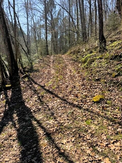768 Ellis Creek Road Reliance, TN 37369 - Photo 5 of 18