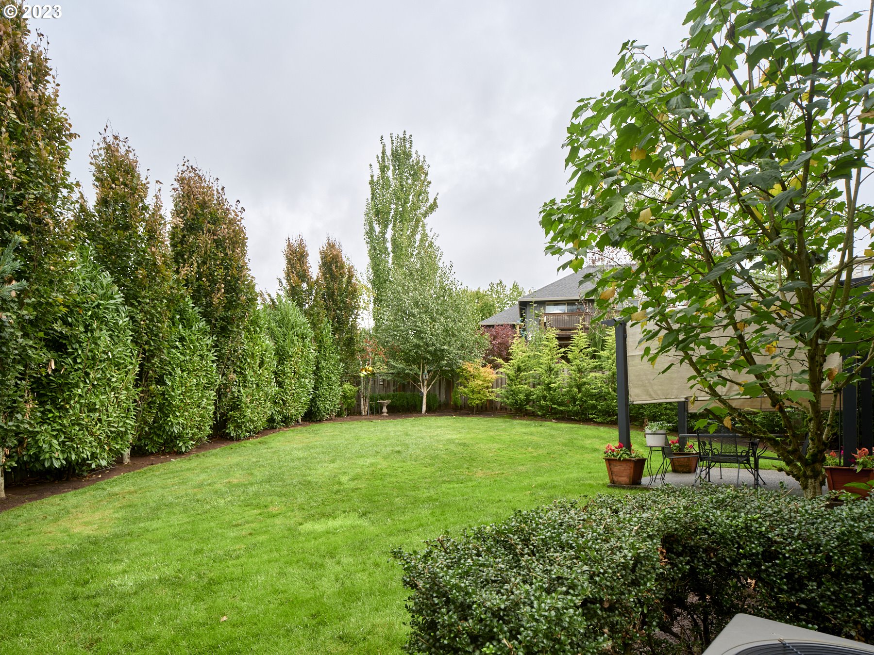 1424 Northwest Goodwin Street Camas, WA 98607 - Photo 40 of 40 a view of a park with a tree in the background
