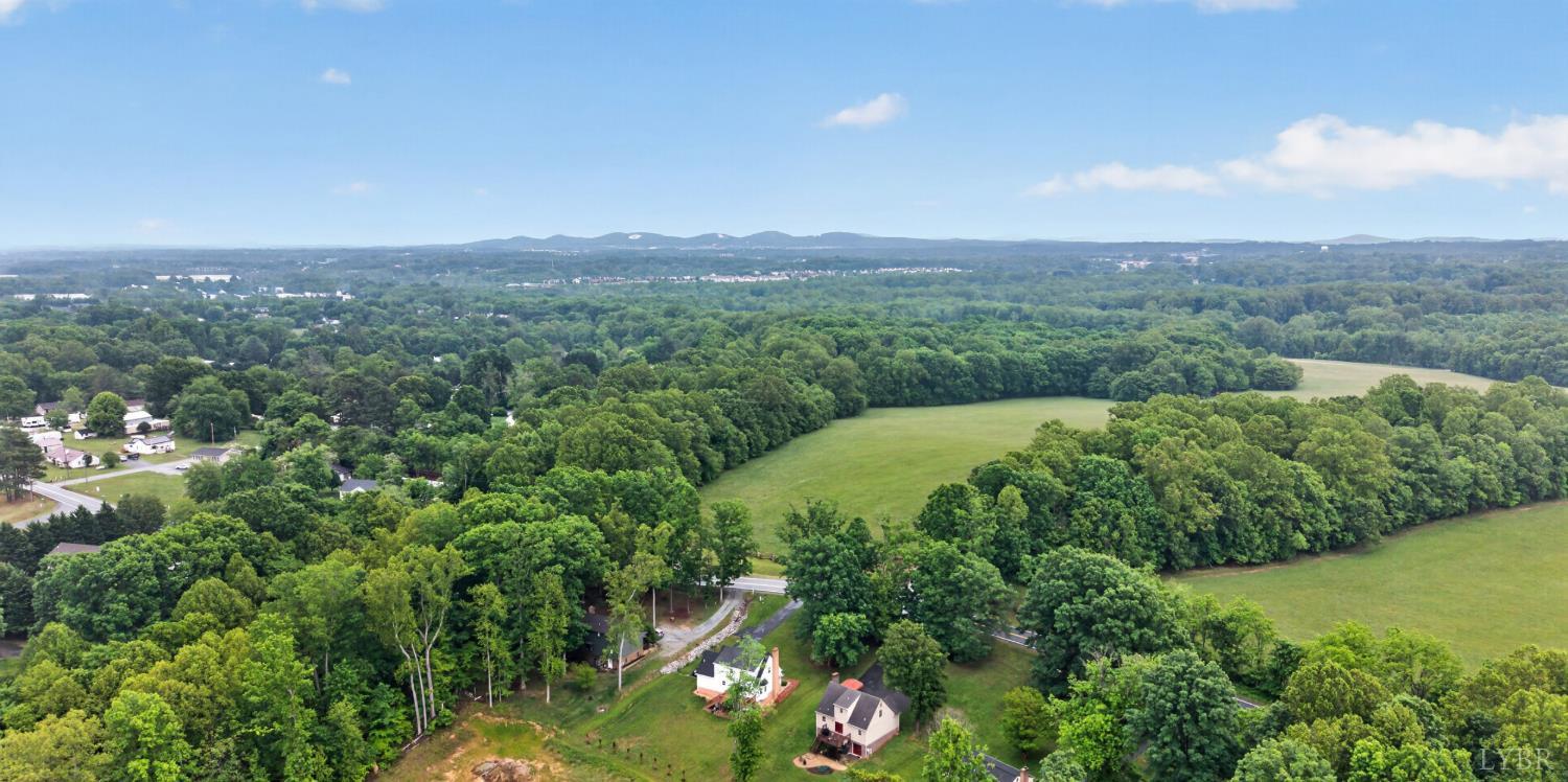 1547 Bateman Bridge Road Forest, VA 24551 - Photo 46 of 46