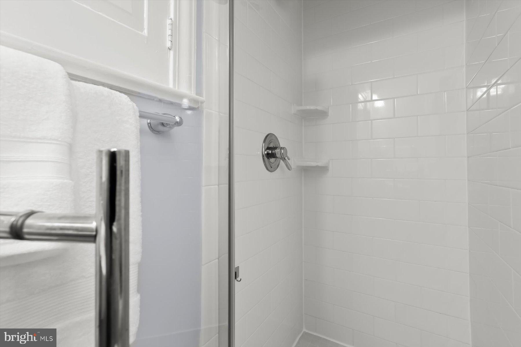 5910 Cobalt Road Bethesda, MD 20816 - Photo 23 of 35 Primary Bath shower