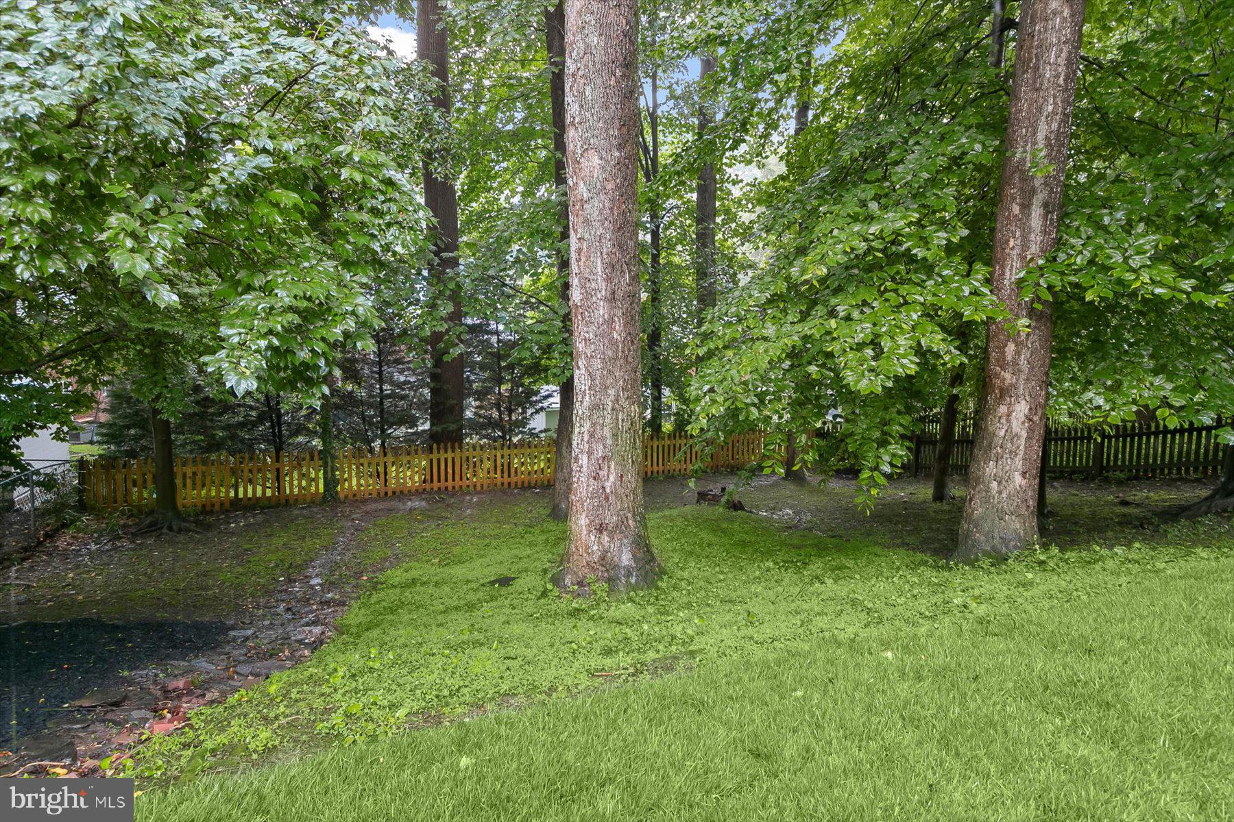 5910 Cobalt Road Bethesda, MD 20816 - Photo 35 of 35 Backyard