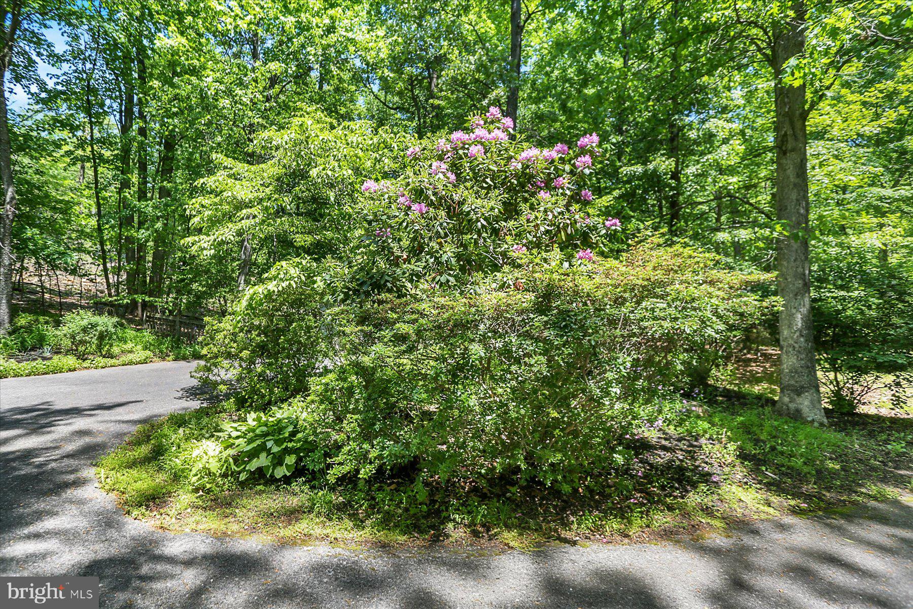 1575 Pine Grove Road Bethel, PA 19507 - Photo 53 of 55