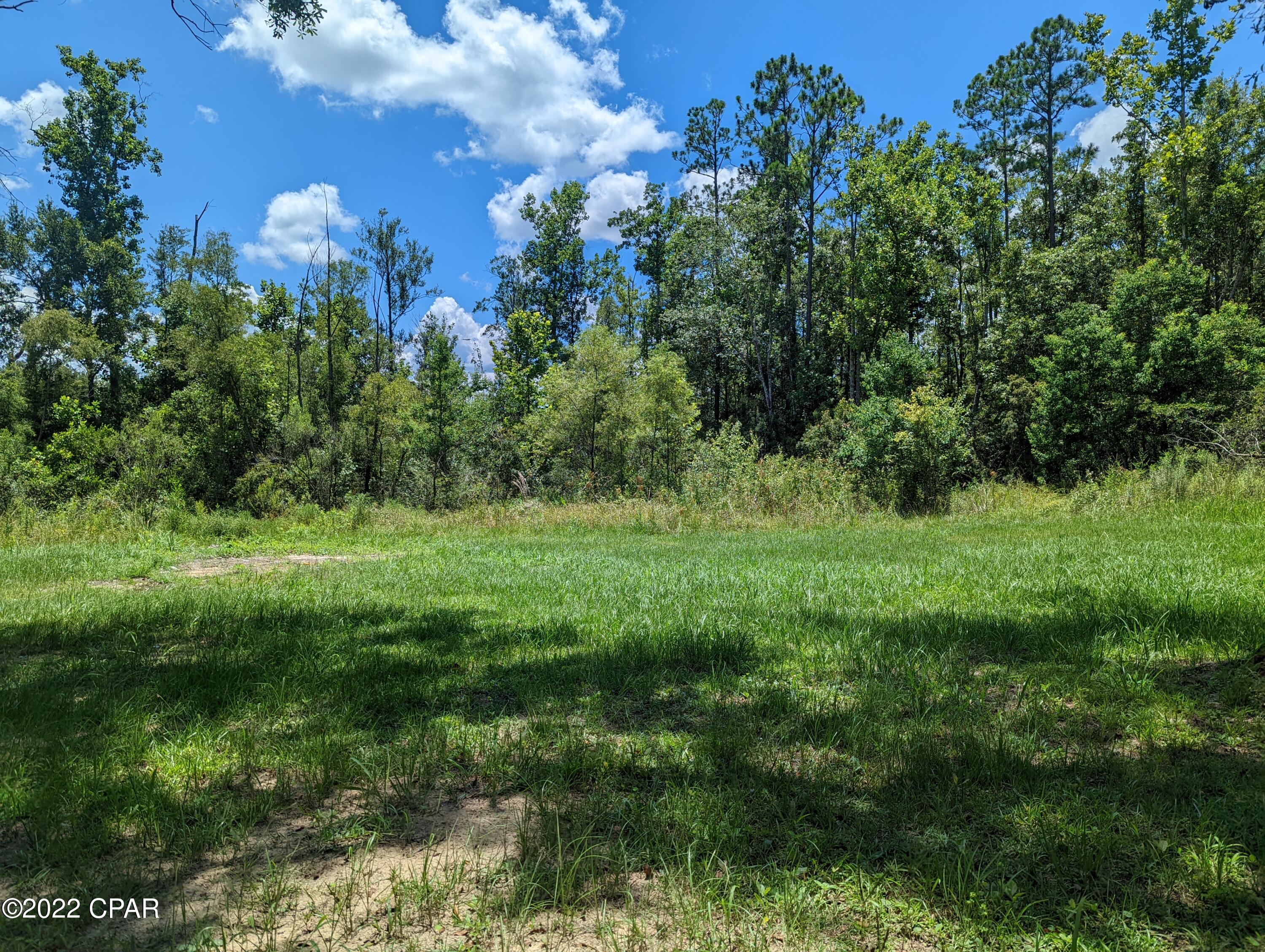 2930 Sand Path Road Bonifay, FL 32425 - Photo 20 of 21 Gallery Image 20