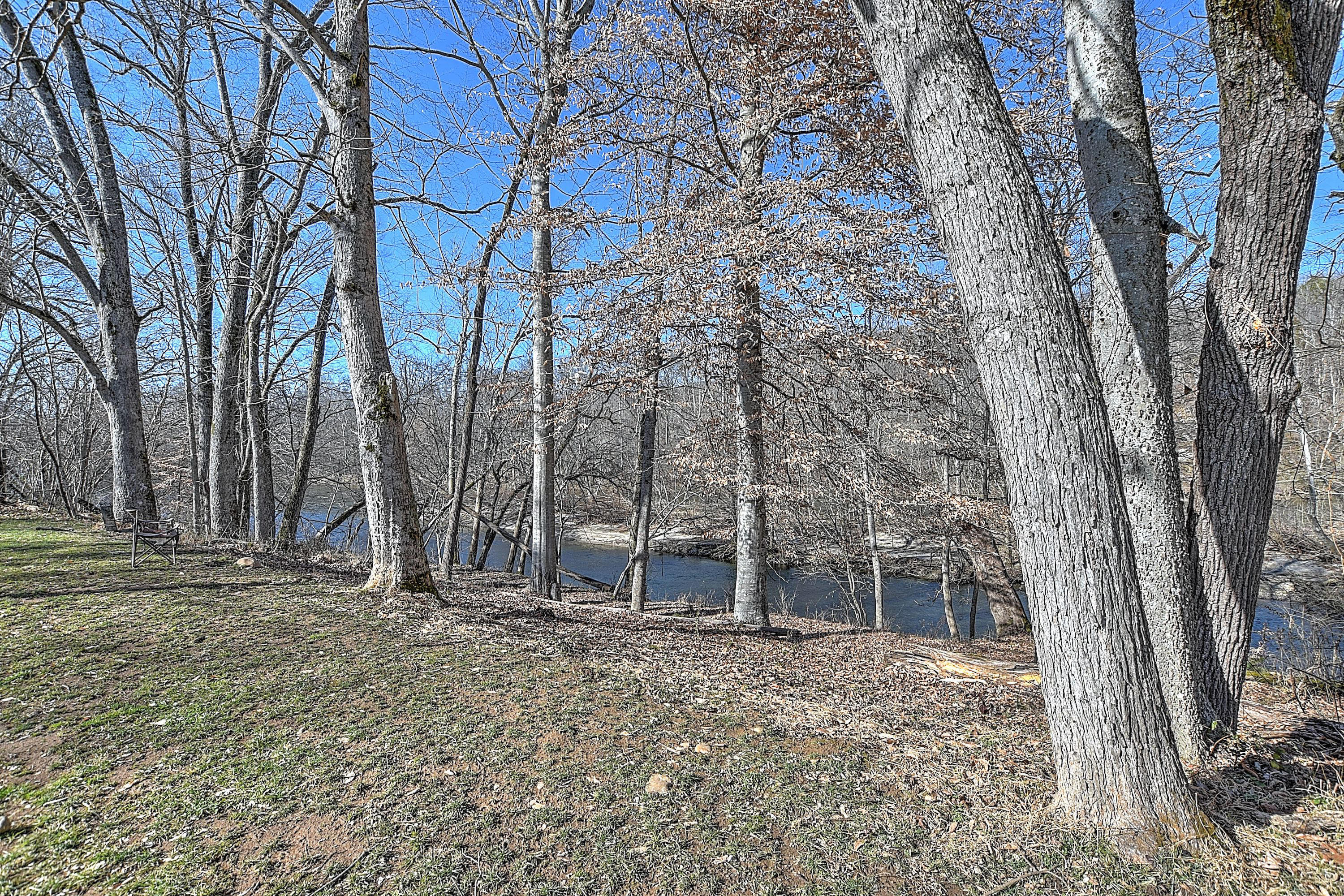 701 Earnest Road Chuckey, TN 37641 - Photo 5 of 35 Front yard view of river