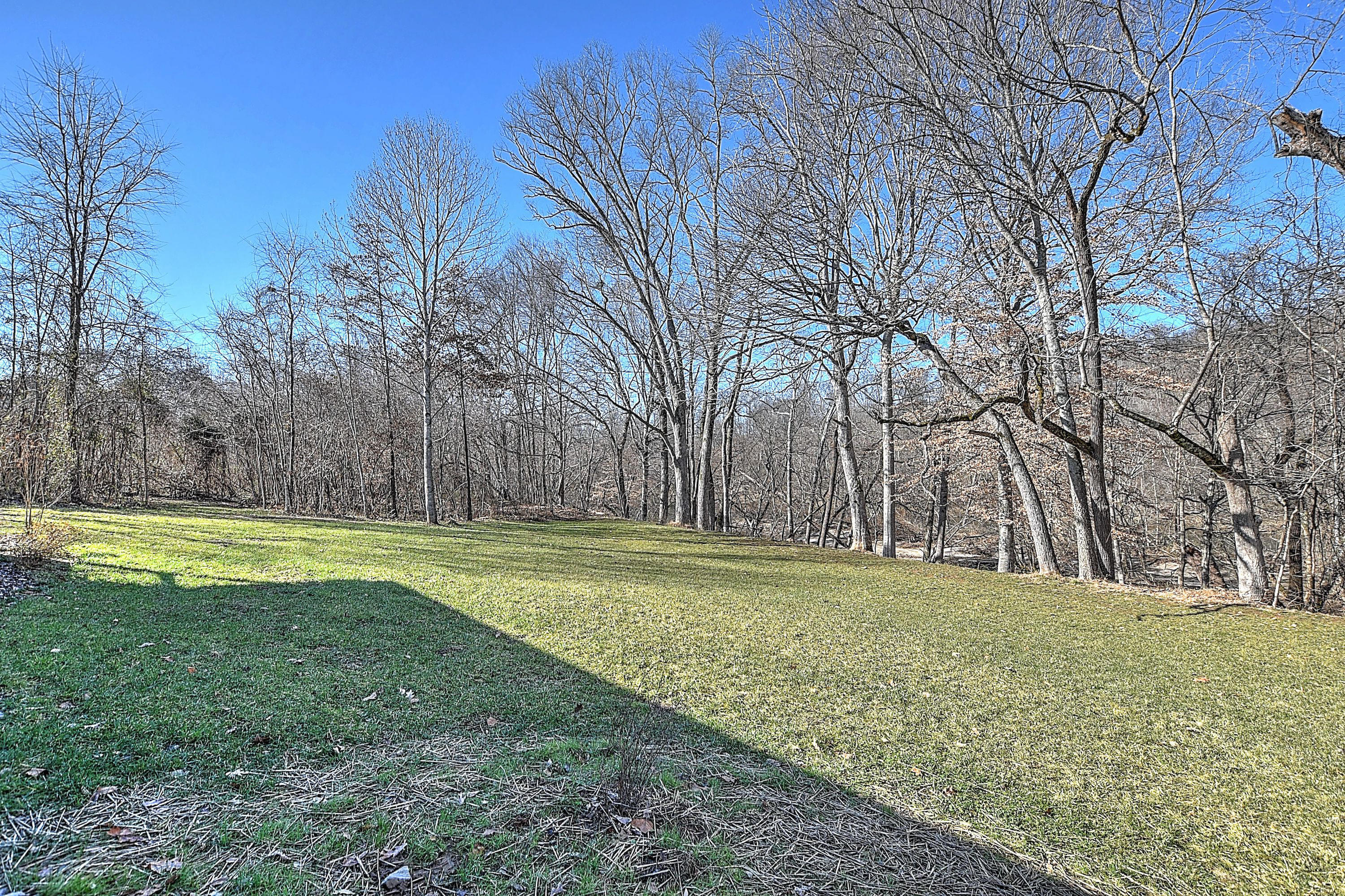 701 Earnest Road Chuckey, TN 37641 - Photo 6 of 35 Front yard