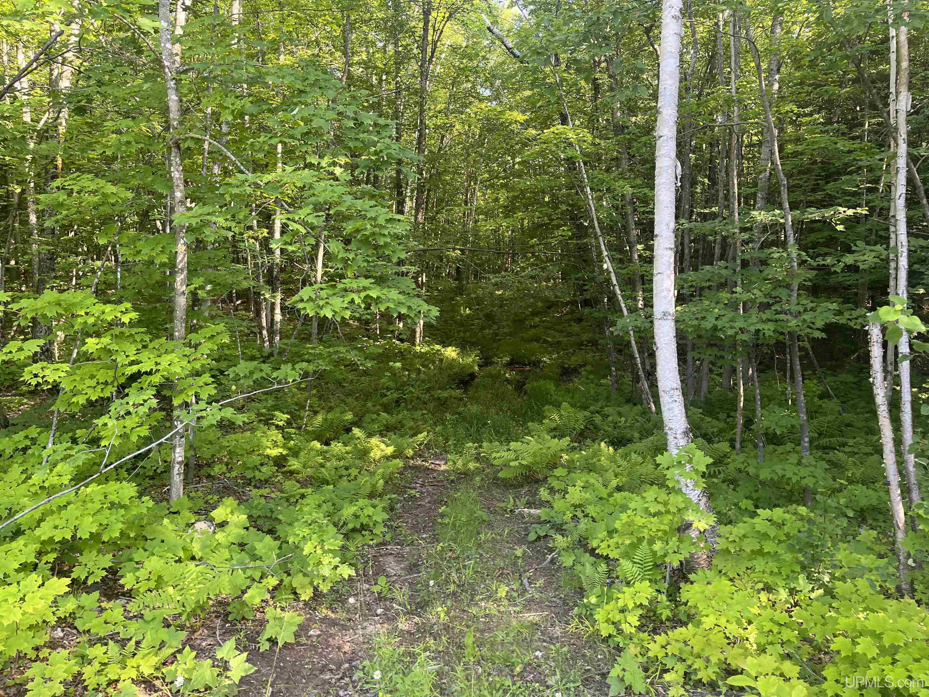 510 Rd Ishpeming Mi 49849 Road Negaunee, MI 49866 - Photo 11 of 33