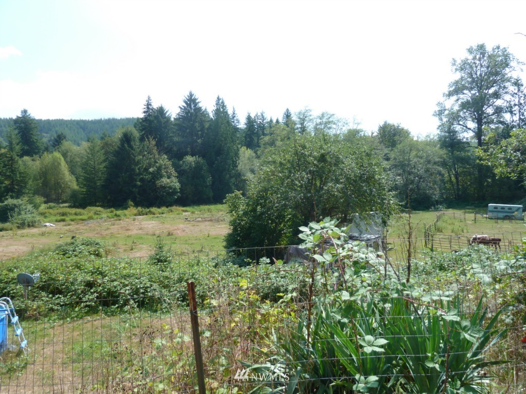 194 Mox Chehalis Road Elma, WA 98541 - Photo 7 of 12 Gallery Image 7