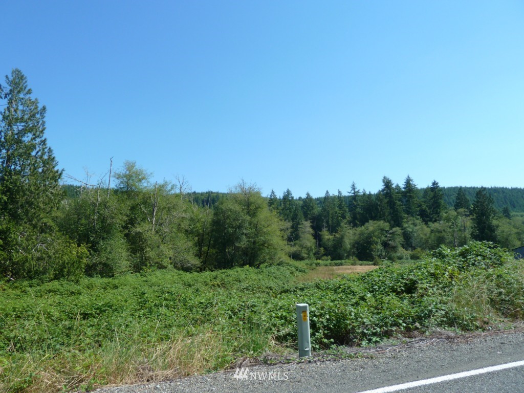 194 Mox Chehalis Road Elma, WA 98541 - Photo 9 of 12 Gallery Image 9