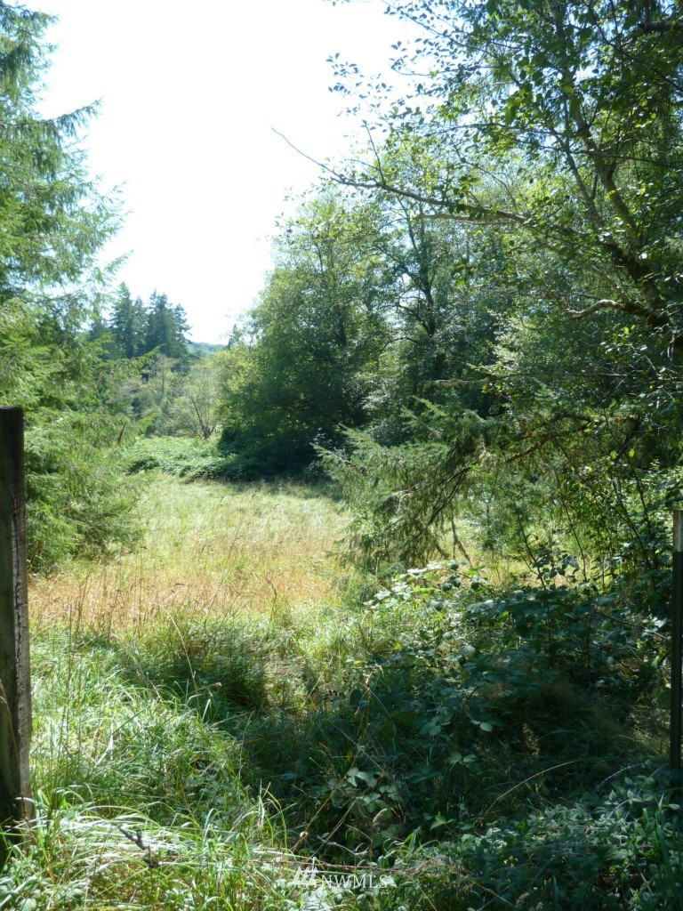 194 Mox Chehalis Road Elma, WA 98541 - Photo 10 of 12 Gallery Image 10