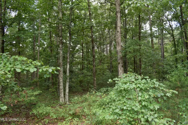 $109,000 | 305 Minor Bridge Road, Ashland, MS 38603