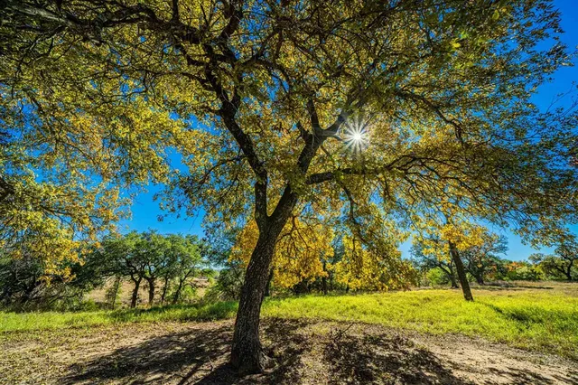 $3,495,000 | 183 Teton Lane, Fredericksburg, TX 78624