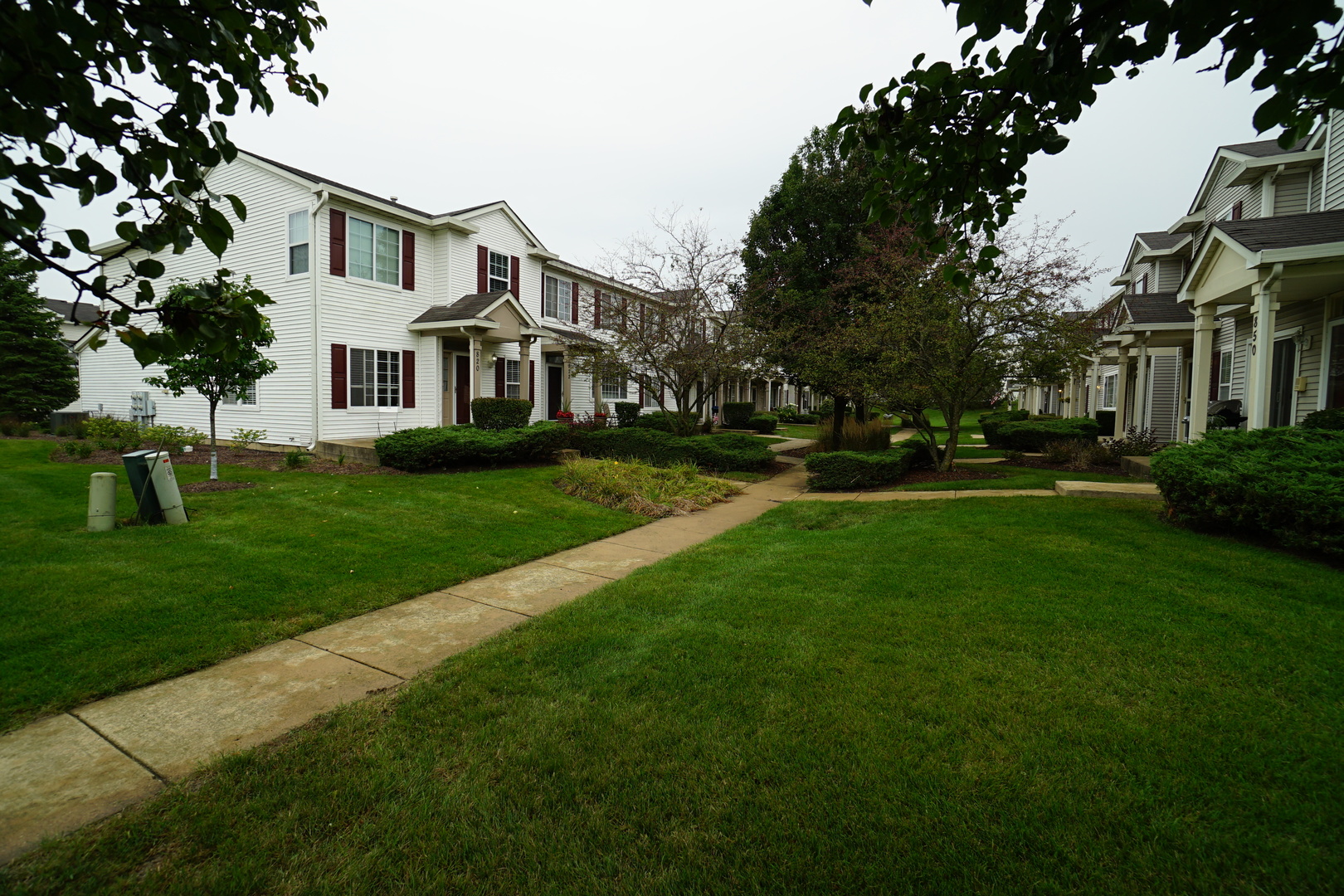826 County Line Road Aurora, IL 60502 - Photo 2 of 21 a front view of a house with a garden