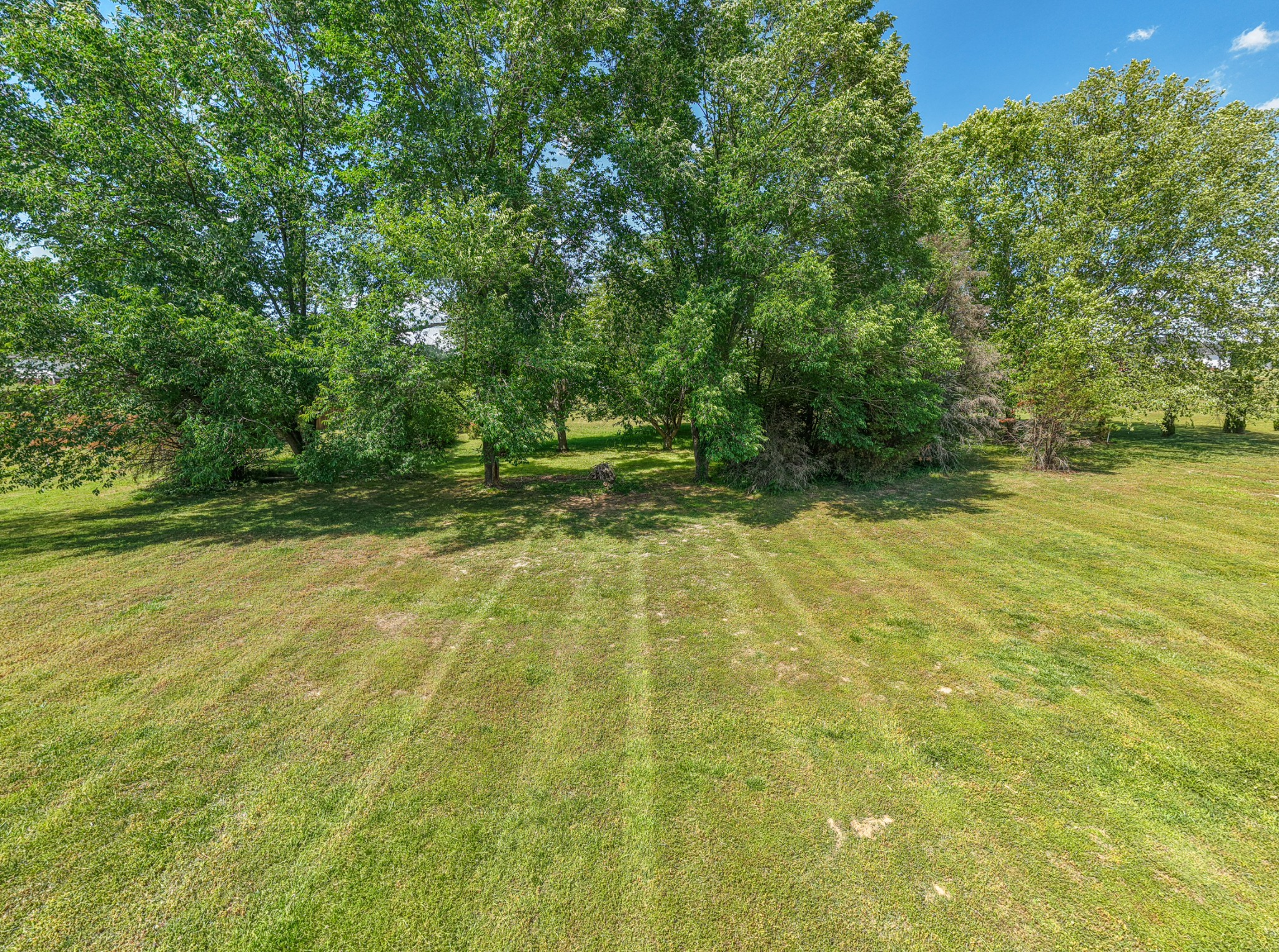 341 Bradshaw Road Lebanon, TN 37087 - Photo 64 of 75 Gallery Image 64