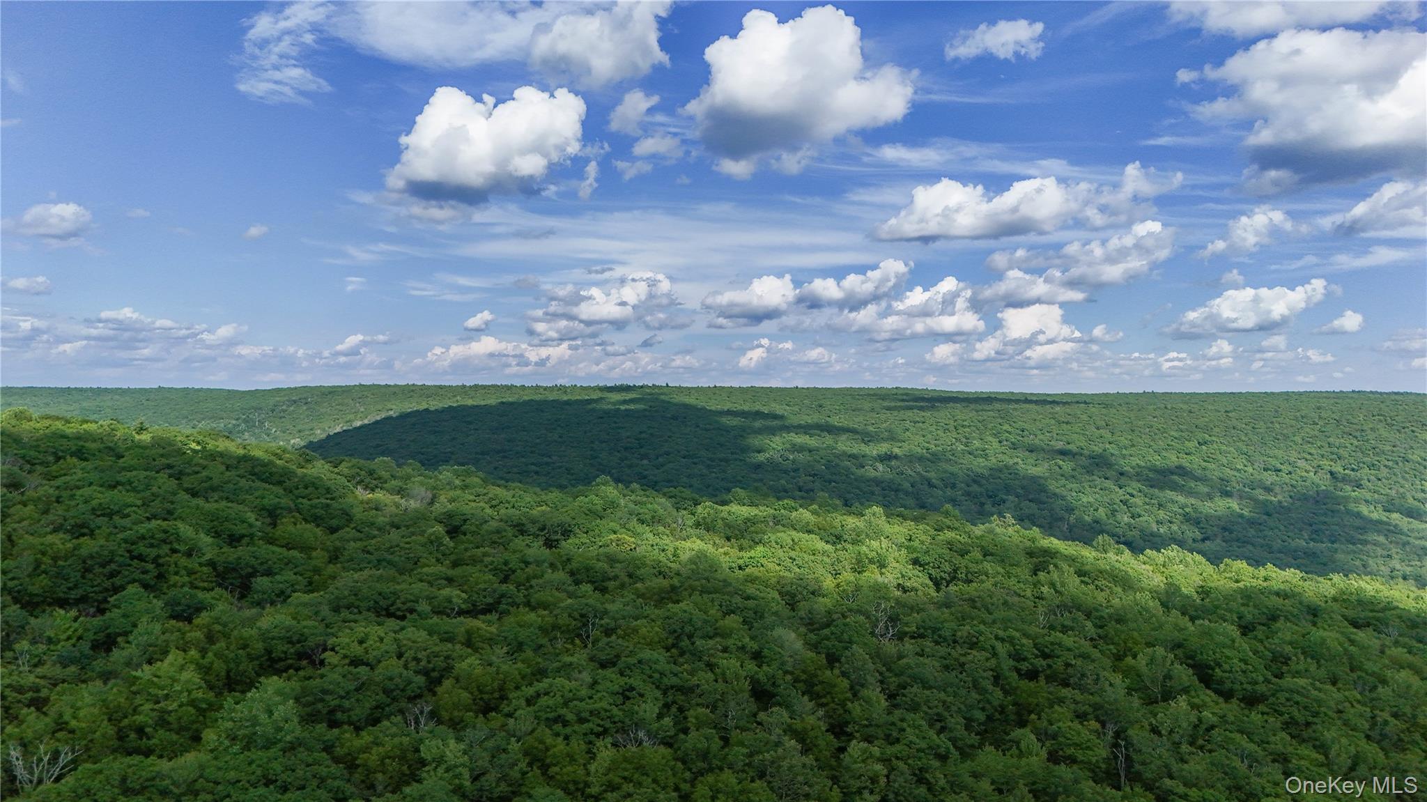 225 Hatchery Road Forestburgh, NY 12777 - Photo 31 of 37 Gallery Image 31