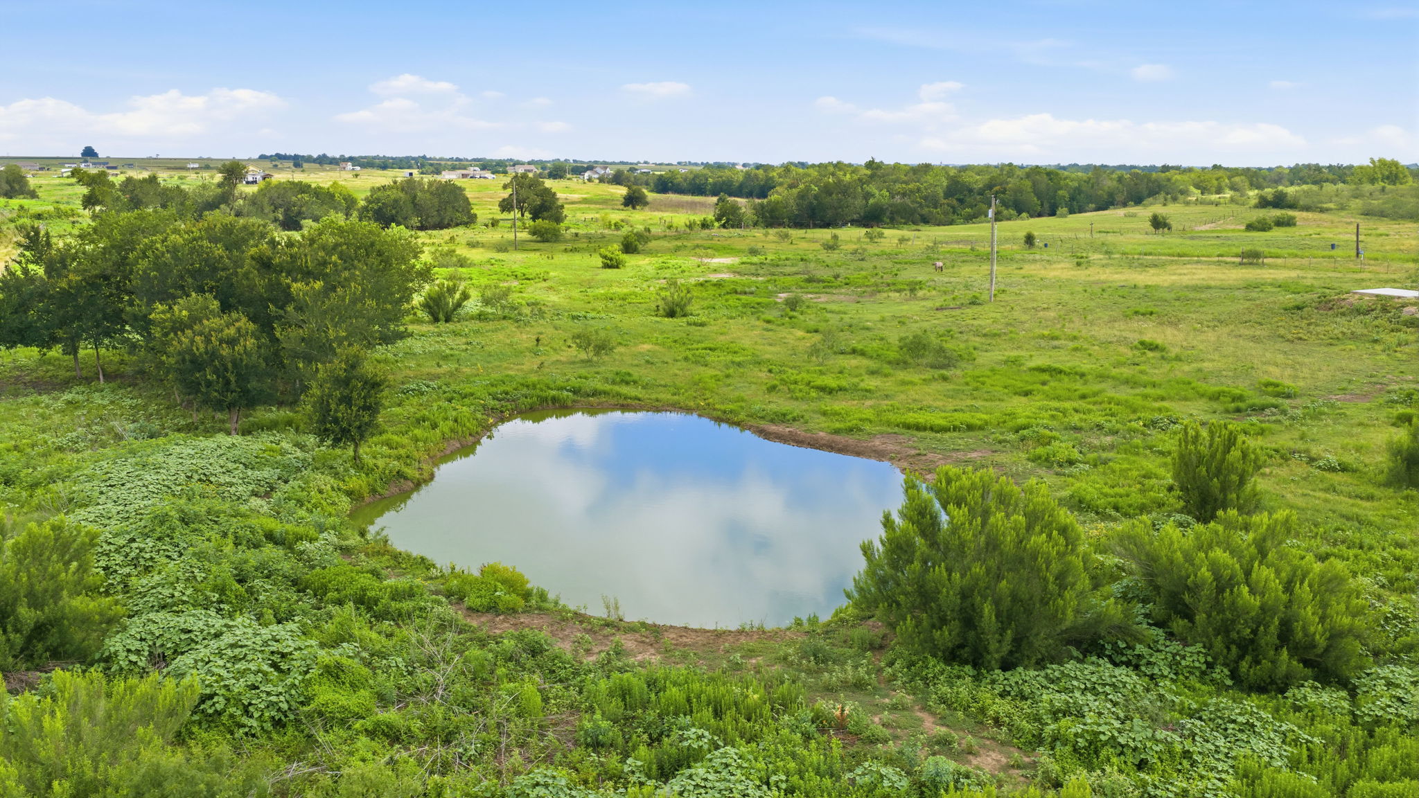 1701 County Road 466 Elgin, TX 78621 - Photo 21 of 24 A tranquil pond glistens amidst verdant fields, offering a serene natural landscape.