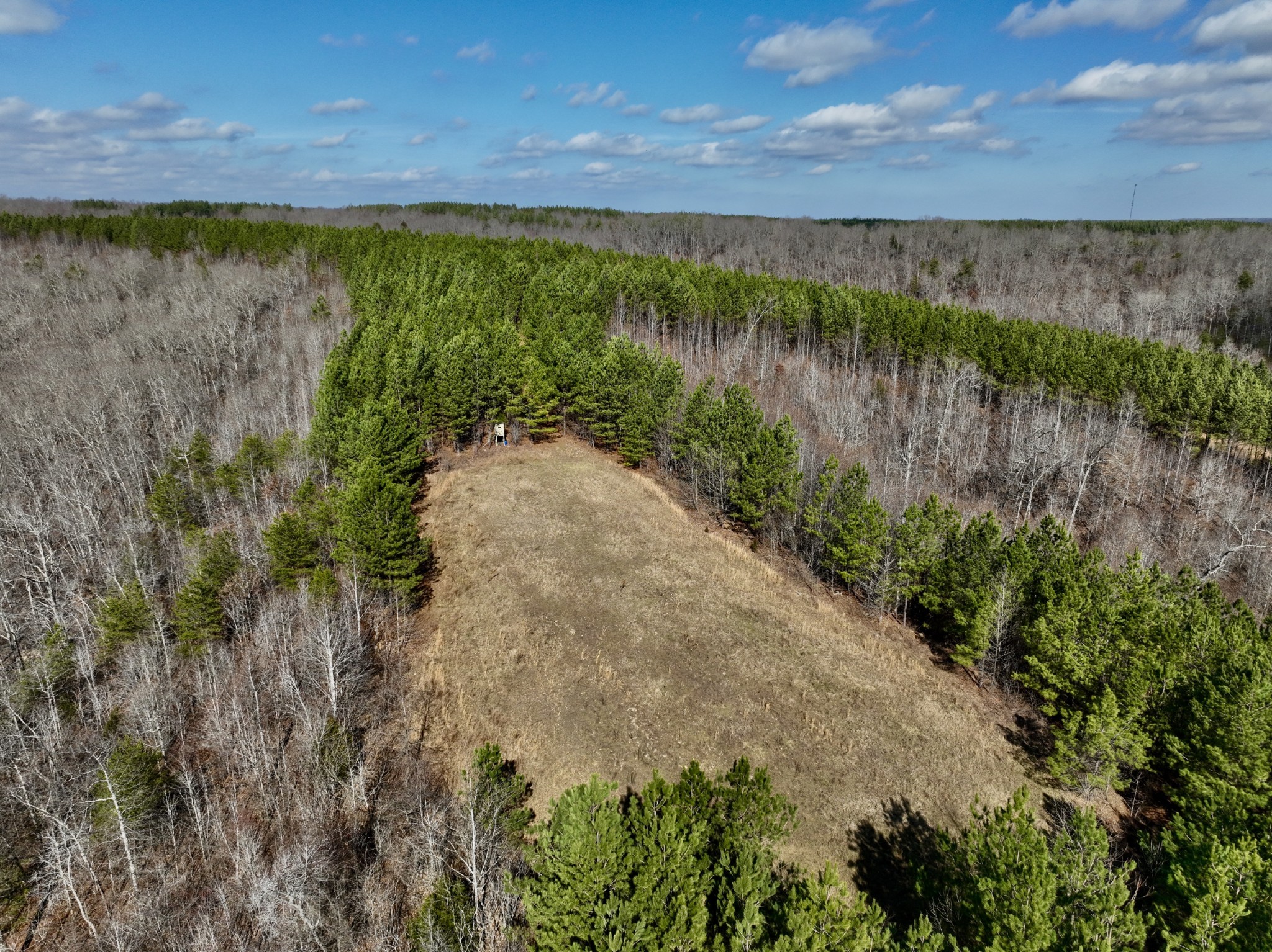 0 Duck River Road Hurricane Mills, TN 37078 - Photo 1 of 52 Gallery Image 1