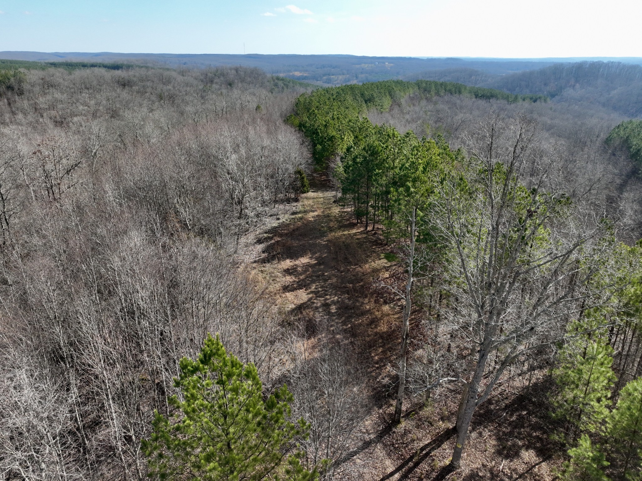 0 Duck River Road Hurricane Mills, TN 37078 - Photo 29 of 52 Gallery Image 29