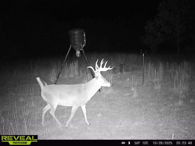 0 Duck River Road Hurricane Mills, TN 37078 - Photo 3 of 52 Gallery Image 3