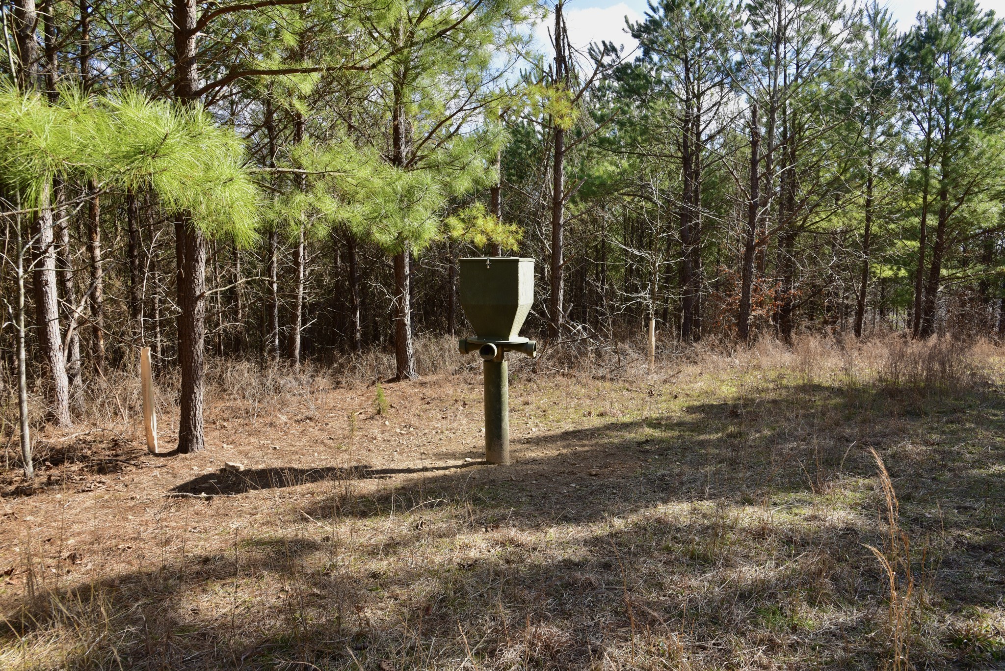 0 Duck River Road Hurricane Mills, TN 37078 - Photo 32 of 52 Gallery Image 32