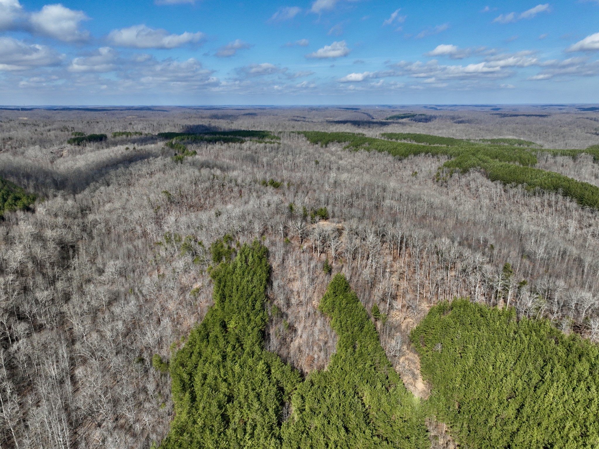 0 Duck River Road Hurricane Mills, TN 37078 - Photo 36 of 52 Gallery Image 36