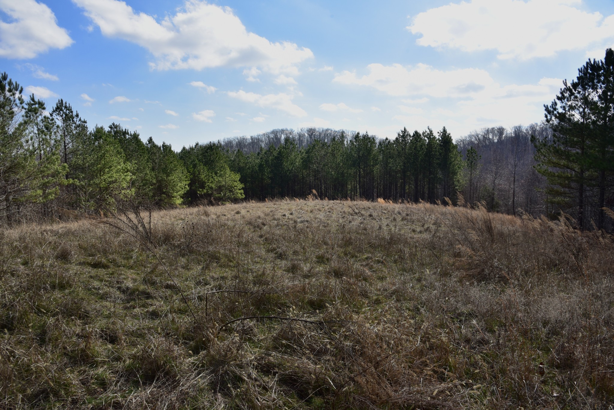 0 Duck River Road Hurricane Mills, TN 37078 - Photo 43 of 52 Gallery Image 43